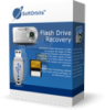 Flash Drive Recovery