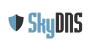 SkyDNS SkyDNS