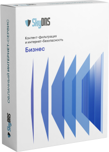 SkyDNS.Бизнес